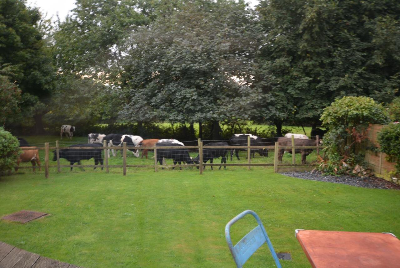 Walton Crescent Bed and Breakfast Winford Buitenkant foto